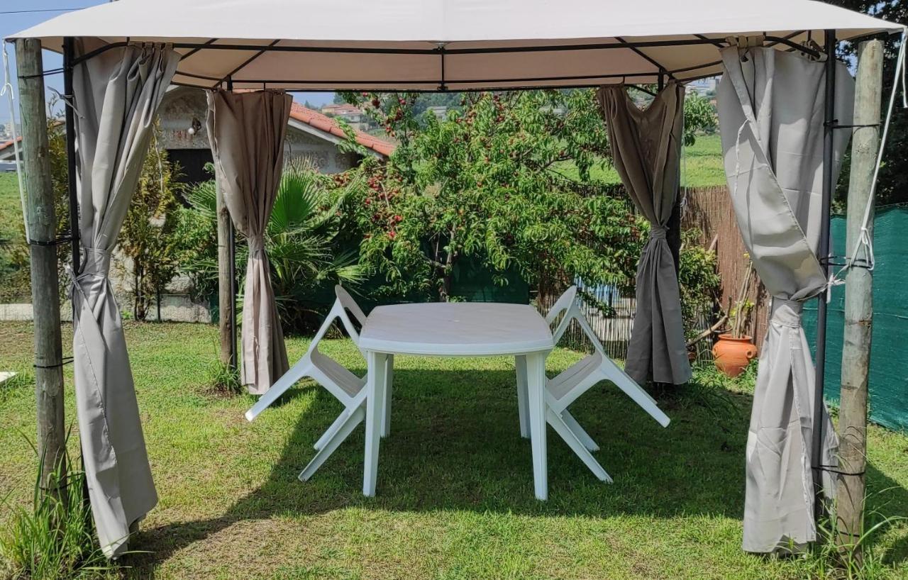 Quinta De Carvalhal - Casa De Campo غيمارايش المظهر الخارجي الصورة